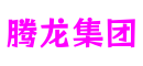 腾龙集团·(中国区)有限公司官网